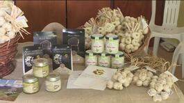 L'aglio: antibiotico, antinfiammatorio e nemico del colesterolo thumbnail