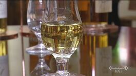 Distillati veneti thumbnail