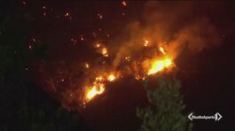 Incendi, bruciati 140mila ettari thumbnail