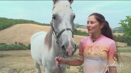 Da Revine alla Sicilia a cavallo thumbnail
