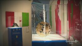 I cimeli più preziosi del museo di Coverciano del calcio vanno in tour thumbnail