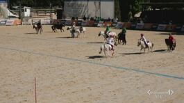 Le Ponyadi, le olimpiadi del cavallo thumbnail