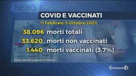 Vaccini, terza dose per tutti? thumbnail