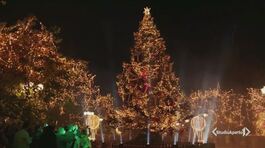 Si riaccende il Natale thumbnail