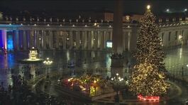 Si accende l'albero in Vaticano thumbnail