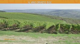 Il vino Orvieto Doc thumbnail