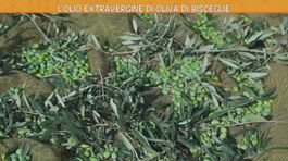 L'olio extravergine di oliva di Bisceglie thumbnail