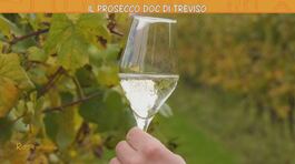 Treviso e il suo Prosecco Doc thumbnail