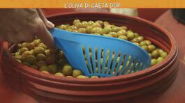 L'oliva di Gaeta Dop thumbnail