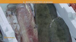 Il mercato ittico di Roma thumbnail