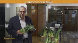 Il broccolo di Bassano thumbnail