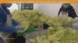 Castelfranco Veneto e il suo radicchio variegato thumbnail