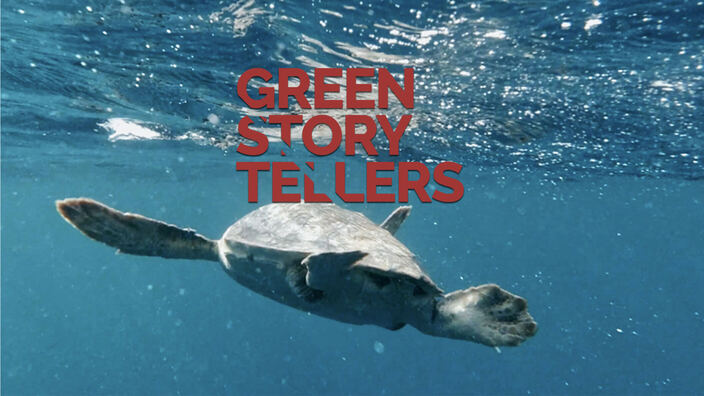 Green Storytellers
