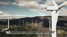 Le mani della 'Ndrangheta sull'energia eolica in provincia di Catanzaro thumbnail