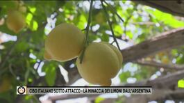 Cibo italiano sotto attacco - La minaccia dei limoni dell'Argentina thumbnail