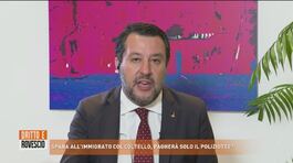 Spara all'immigrato, Matteo Salvini: "Entro l'estate le forze l'ordine saranno munite di taser" thumbnail