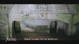 Puglia, la dura vita dei nostri avi thumbnail