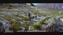 Campania, Pietraroja: la scoperta di un dinosauro thumbnail
