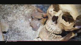 Puglia, il campione di 2.500 anni fa thumbnail