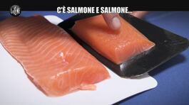 VIVIANI: C'è salmone e salmone: ecco come distinguerli thumbnail