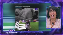 Pamela Petrarolo: la veggente thumbnail