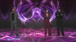 Alfonso D'Apice contro Mariavittoria Minghetti e Tommaso Franchi thumbnail