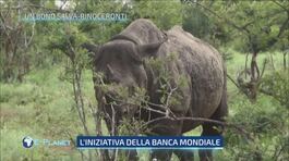 Un bond salva rinoceronti thumbnail