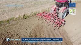 Tradizione siciliana: il programma di sviluppo rurale thumbnail