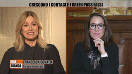 Francesca Donato e Licia Ronzulli: il confronto thumbnail