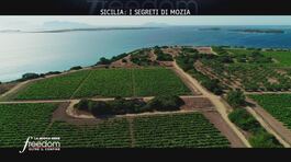 Sicilia: i segreti di Mozia thumbnail