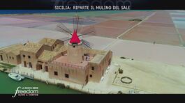 Sicilia: riparte il mulino del sale thumbnail