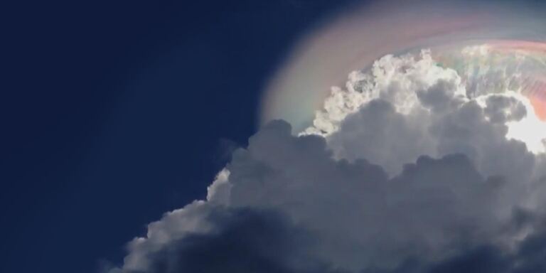 Focus Stranezze di questo mondo