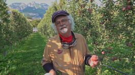 Le mele del Trentino thumbnail