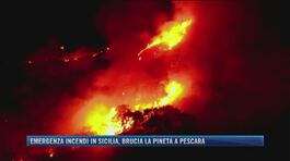 Emergenza incendi in Sicilia, brucia la pineta a Pescara thumbnail