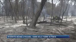 Incendi a Pescara, i danni delle fiamme in pineta thumbnail
