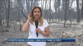 In diretta incendi a Pescara, i danni delle fiamme in pineta thumbnail