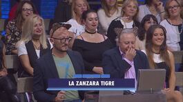 La zanzara tigre thumbnail