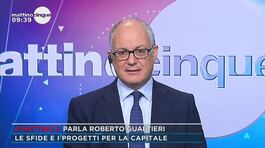 Gestione rifiuti a Roma, Roberto Gualtieri: "Rifiuti e cinghiali, causa è l'inazione dell'amministrazione" thumbnail