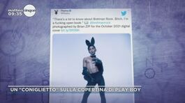 Un "coniglietto" sulla copertina di Play boy thumbnail