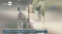 I video del maltempo in Liguria thumbnail