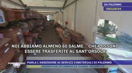 Parla l'assessore ai servizi cimiteriali di Palermo thumbnail