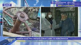 Coppia vive tra i rifiuti con 67 cani - Ci sono novità thumbnail