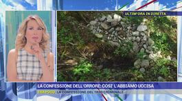Omicidio Laura Ziliani, la confessione dell'orrore thumbnail