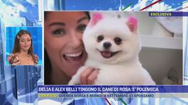 Delia e Alex Belli tingono il cane di rosa: è polemica thumbnail