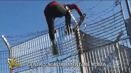 Centro Agroalimentare Roma, il ritorno thumbnail