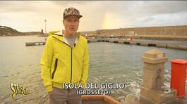 SOS mufloni all'Isola del Giglio thumbnail