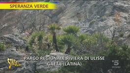 Speranza verde, la falesia di Gaeta thumbnail