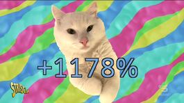 Farmaci veterinari, perché costano così tanto thumbnail