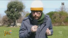 Armi alla Colombia, Leonardo e l'intermediazione di D'Alema thumbnail
