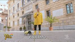 Dissesto al Comune di Palermo thumbnail